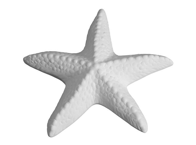 DIY Ceramic - Starfish