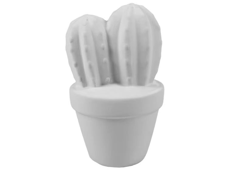 DIY Ceramic - Cactus