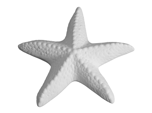 DIY Ceramic - Starfish