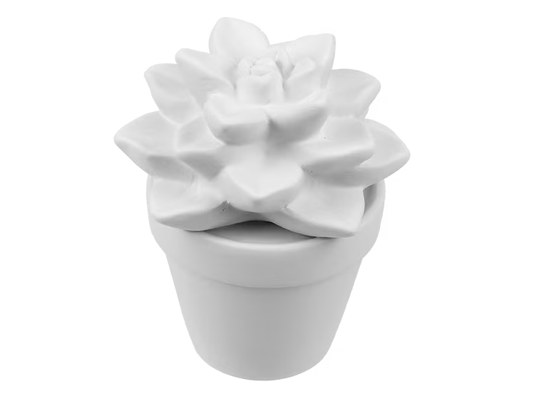 DIY Ceramic - Succulent