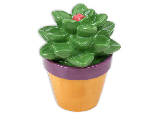 DIY Ceramic - Succulent