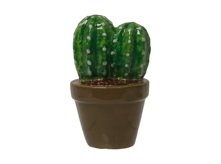 DIY Ceramic - Cactus