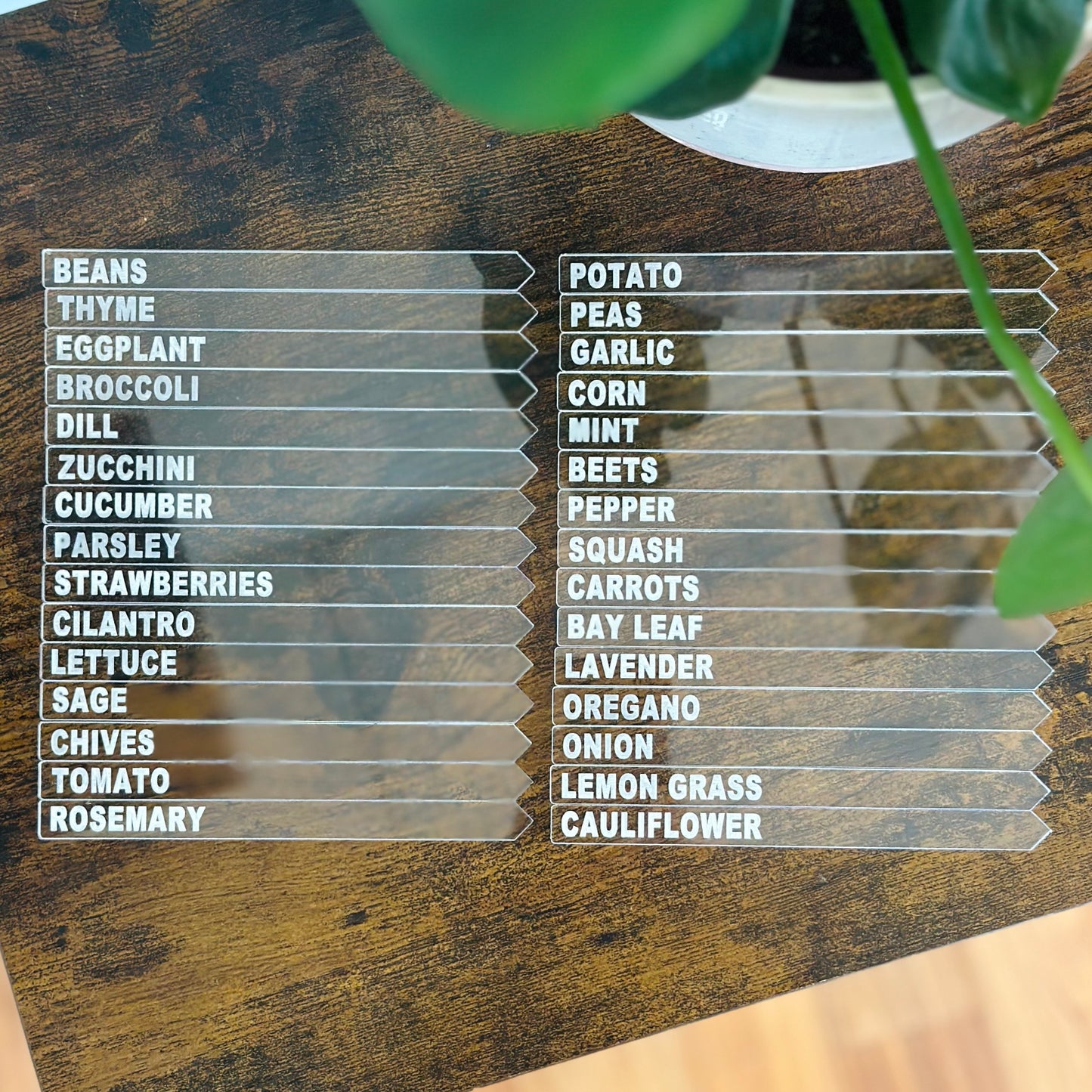 Acrylic Plant Garden Marker Stakes