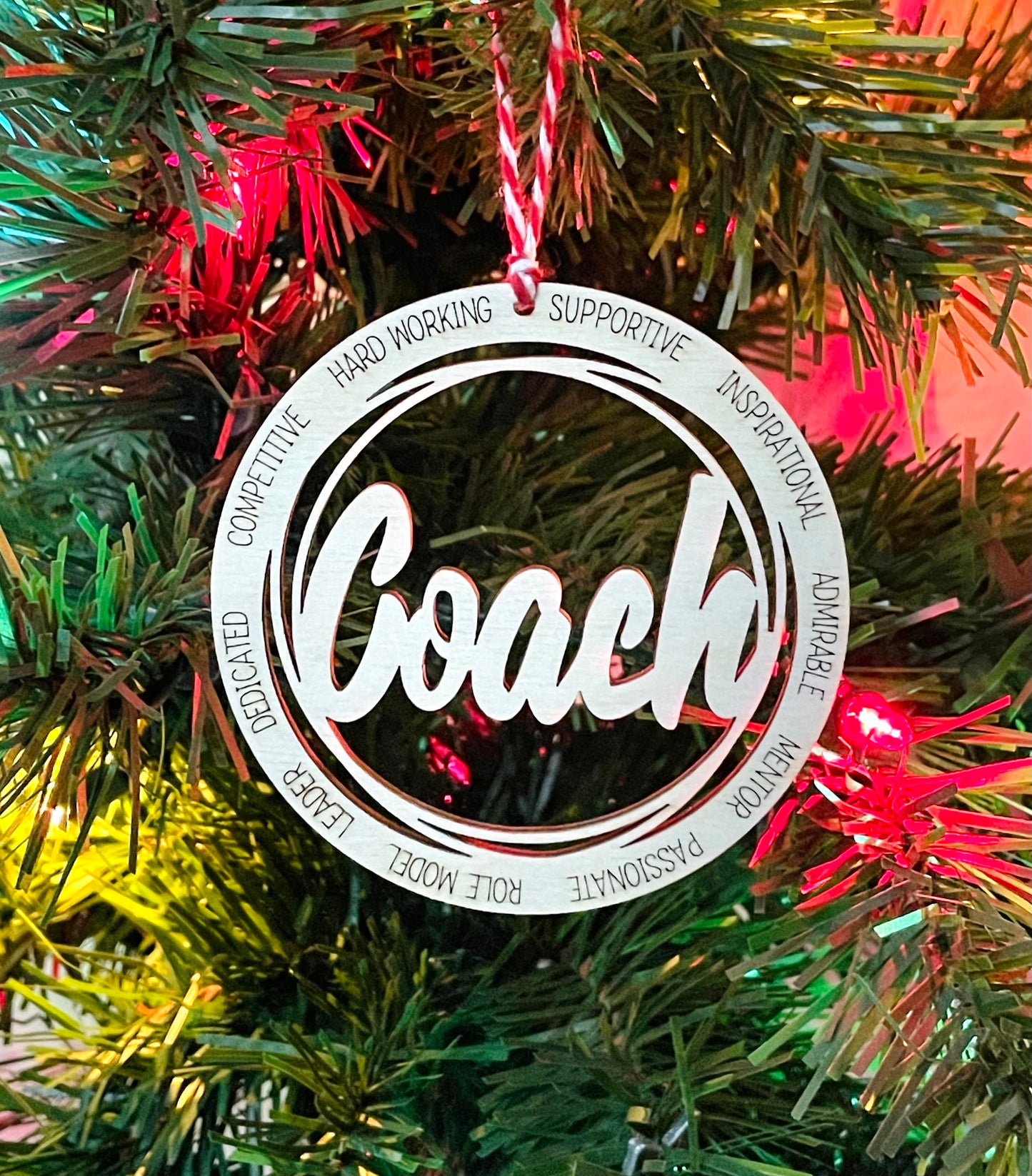 Teacher, Nurse, and Coach Ornaments