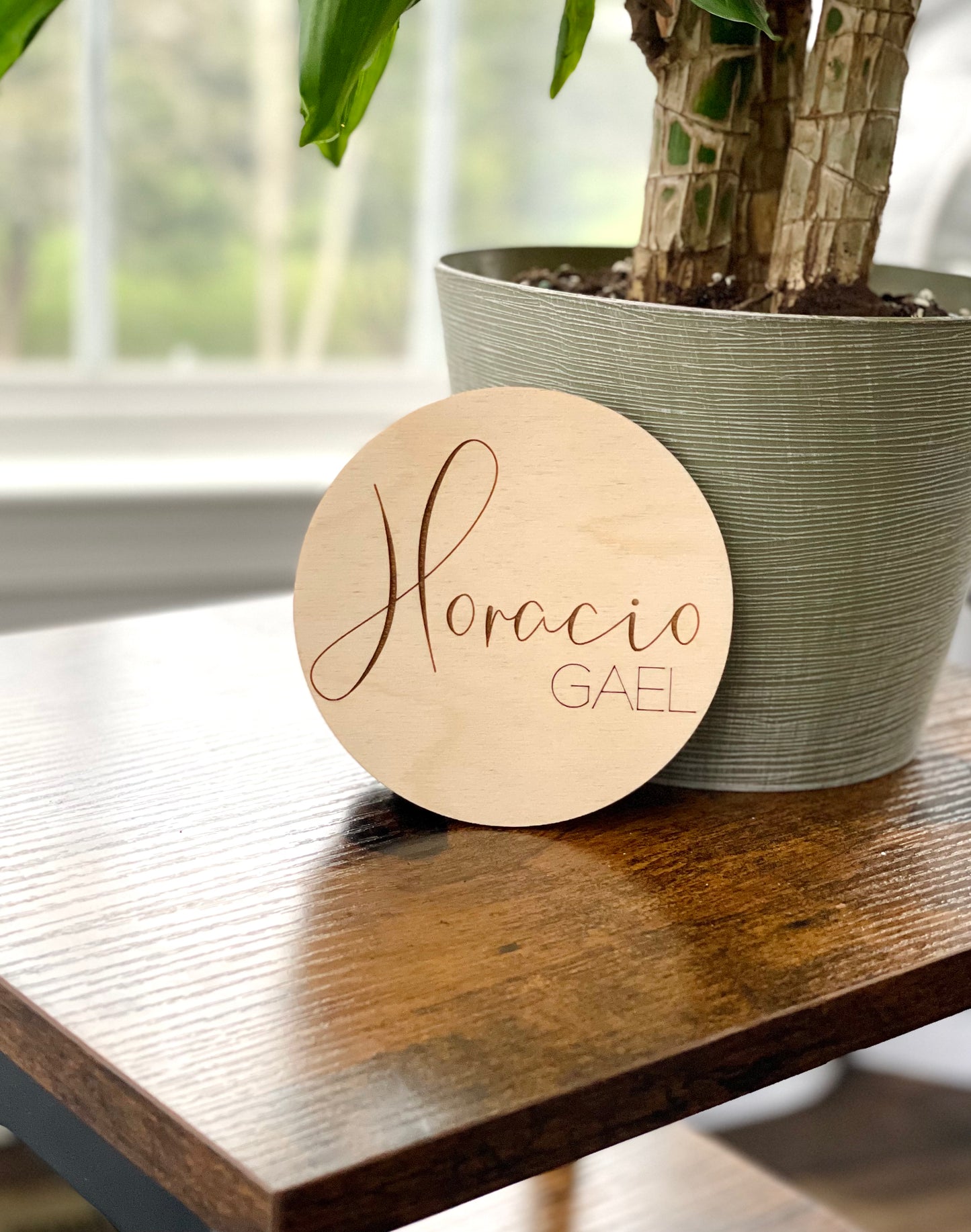 Baby Name Announcement Sign